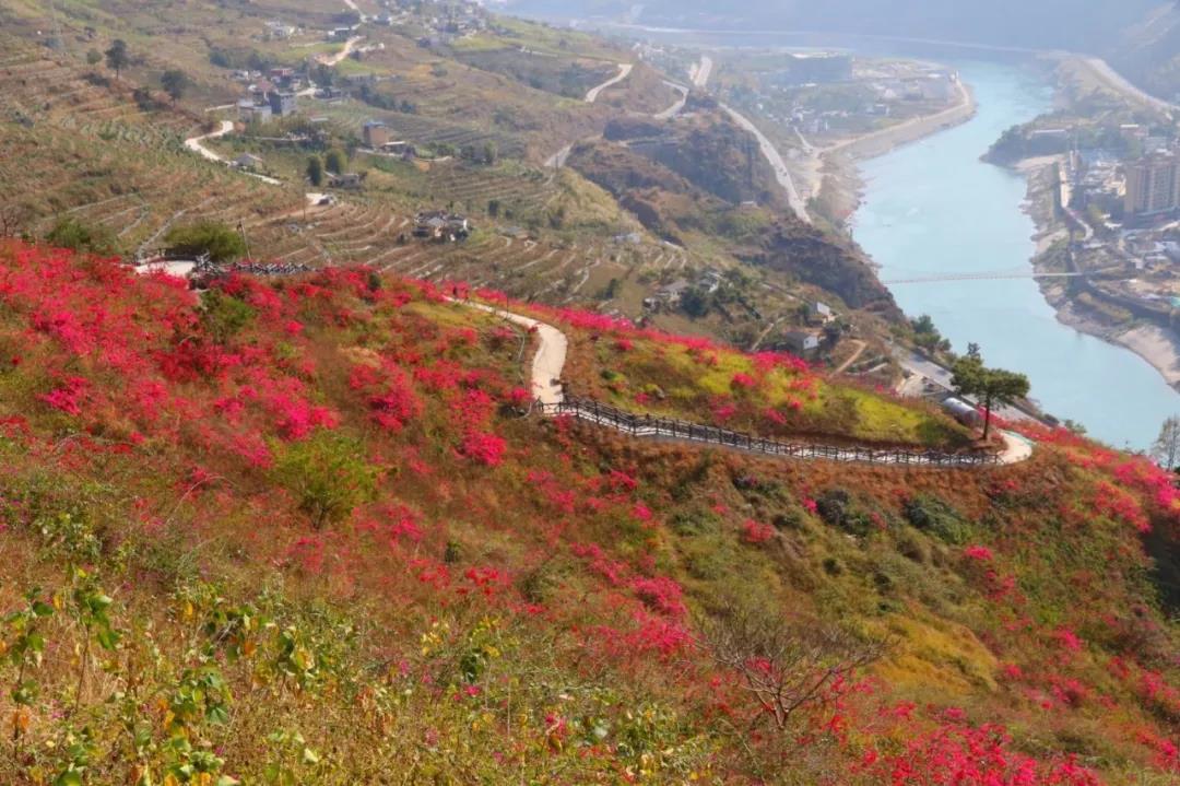 云端棧道一日游，健身娛樂兩不誤