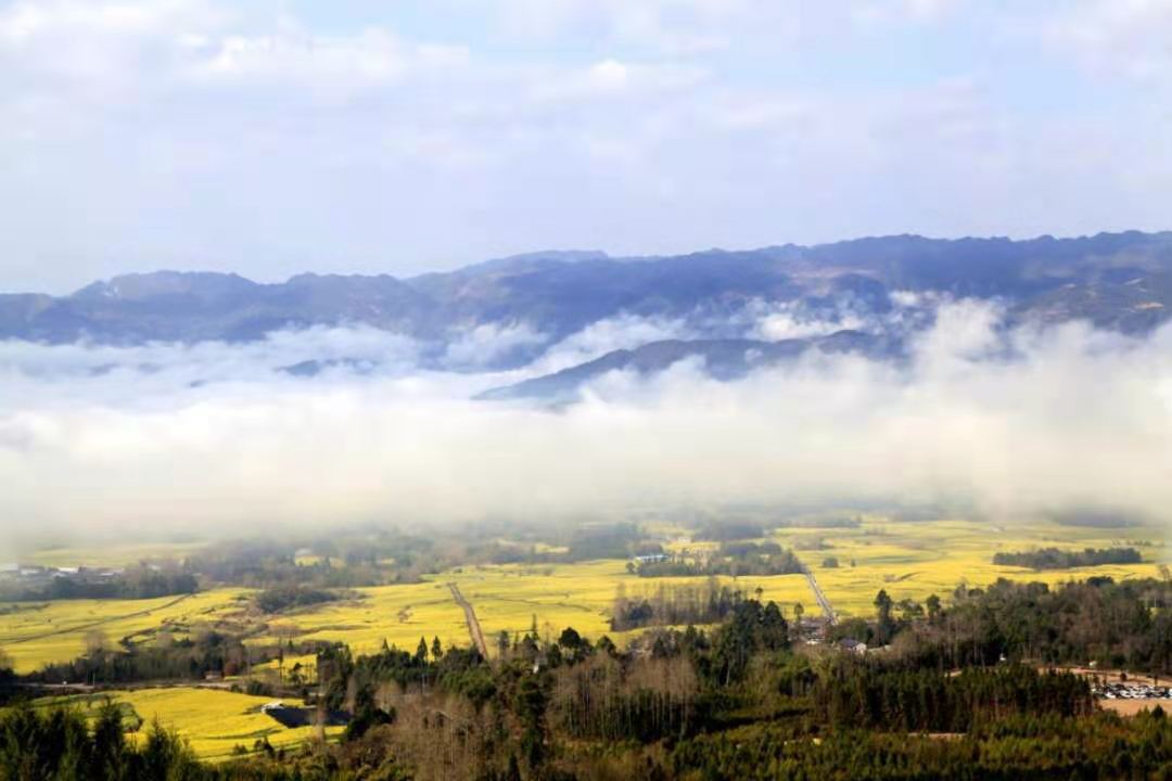 巍巍高黎貢：傳奇的世界物種基因庫，譜寫生命的長歌