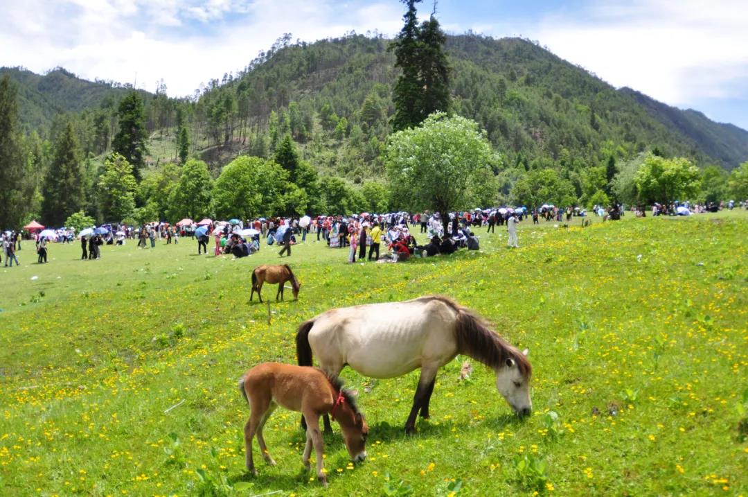 五一出游，蘭坪這些小眾景點(diǎn)一網(wǎng)打盡！