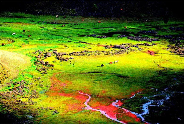 怒江旅行社：深秋童話，怒江講給你聽！