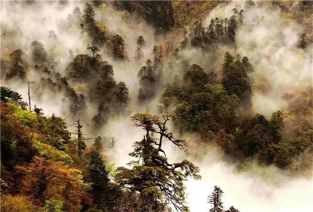 怒江旅游：大雪？怒江沒(méi)有的