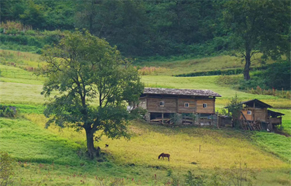 走近丙中洛，探訪隱世秘境，深入世外桃源